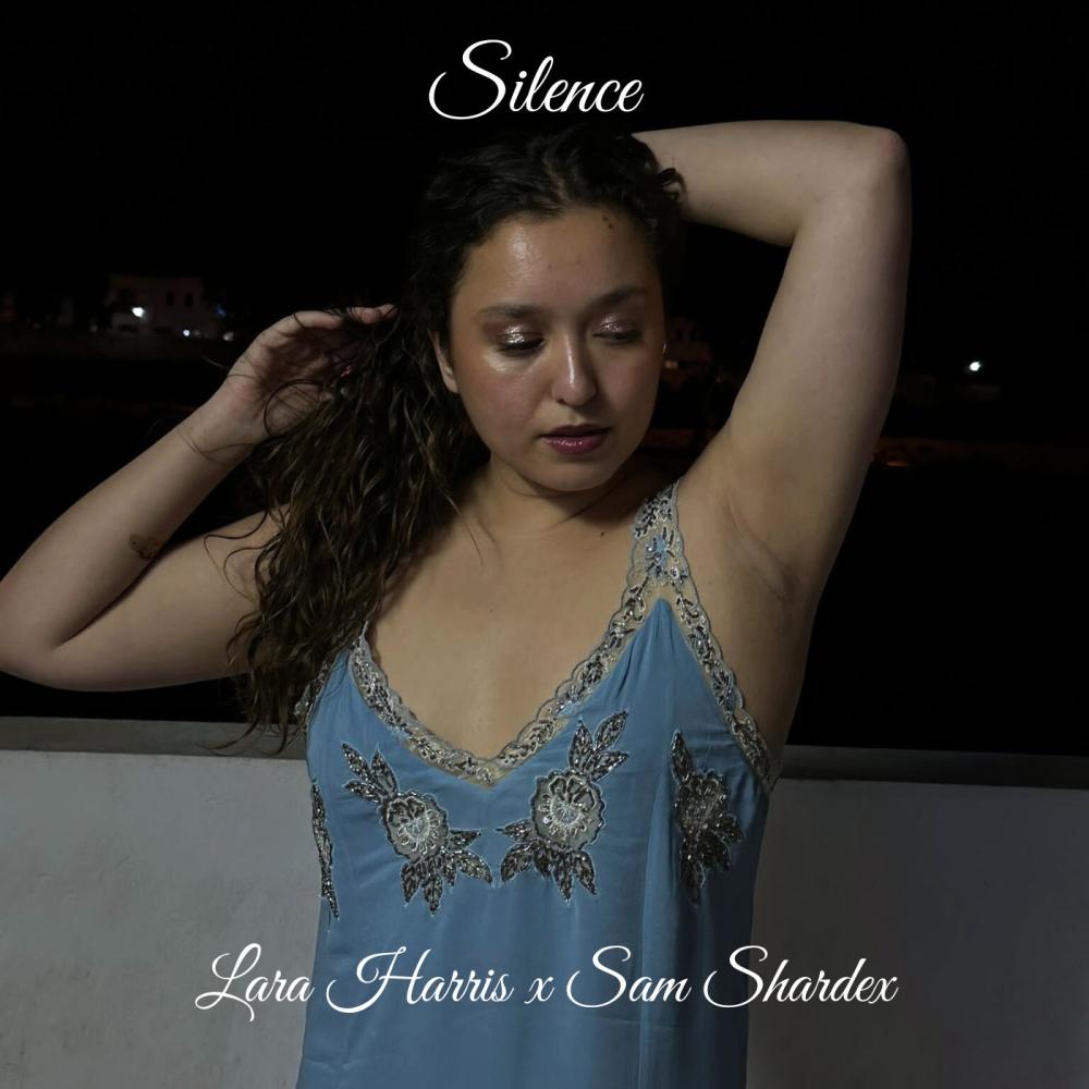 Silence (Sam Shardex Remix 2am Version)