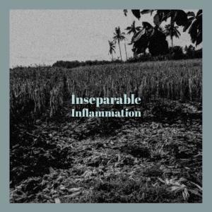 ดาวน์โหลดและฟังเพลง Inseparable Inflammation พร้อมเนื้อเพลงจาก Hery Scal