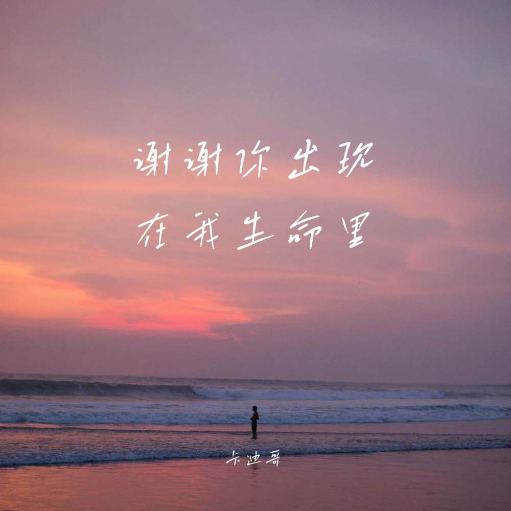 谢谢你出现在我生命里 (伴奏)
