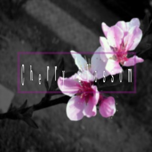 ดาวน์โหลดและฟังเพลง Cherry Blossom พร้อมเนื้อเพลงจาก 키스퍼