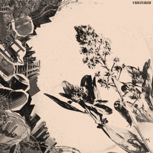 Listen to Life Selection song with lyrics from Azell