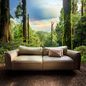 ดาวน์โหลดและฟังเพลง Tides Of Peace Rolling In พร้อมเนื้อเพลงจาก Relaxing Music Therapy Lounge