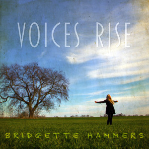 收听Bridgette Hammers的Oceans (Where Feet May Fail)歌词歌曲