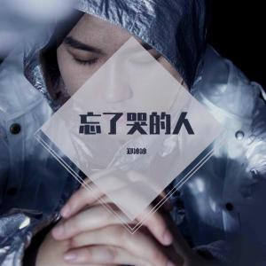 收聽鄭冰冰的忘了哭的人 (完整版)歌詞歌曲