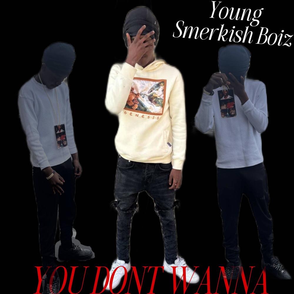 You Dont Wanna (Explicit)