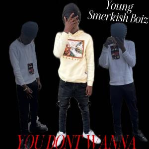 Lul Deez的專輯You Dont Wanna (Explicit)