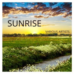 Listen to tema per un film song with lyrics from enrico leo