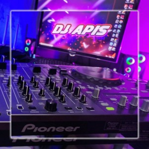 Album Dj Inside The Lines Mashup Mengkane from DJ Apis