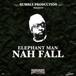 Listen to Nah Fall (Radio Edit) song with lyrics from Elephant Man