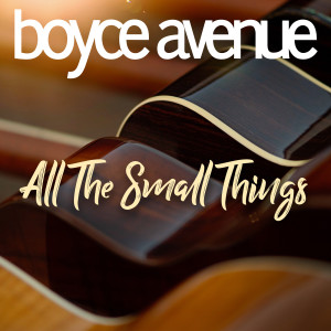 Boyce Avenue的專輯All the Small Things