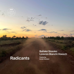 Listen to Anyway Happy song with lyrics from Ballake Sissoko