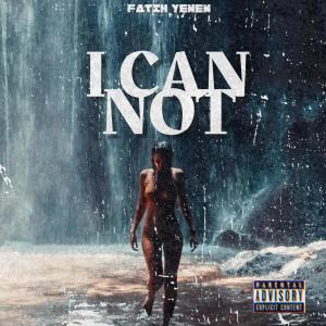 Album I CAN NOT oleh Fatih Yenen