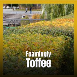 Listen to Fancy-pants song with lyrics from Laissa Tres