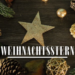Various Artists的專輯Weihnachtsstern
