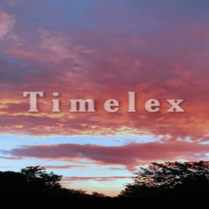 收听Timelex的Make Me Feel (Explicit)歌词歌曲