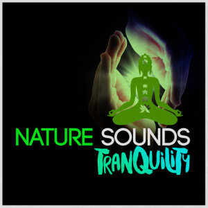 收聽Nature Sounds 2015的Running Waters歌詞歌曲