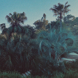 Dengarkan lagu Dayez (Explicit) nyanyian Ian Ewing dengan lirik