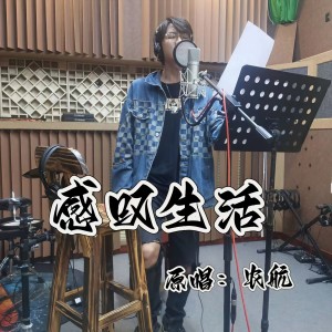 Listen to 感叹生活 (完整版) song with lyrics from 农航