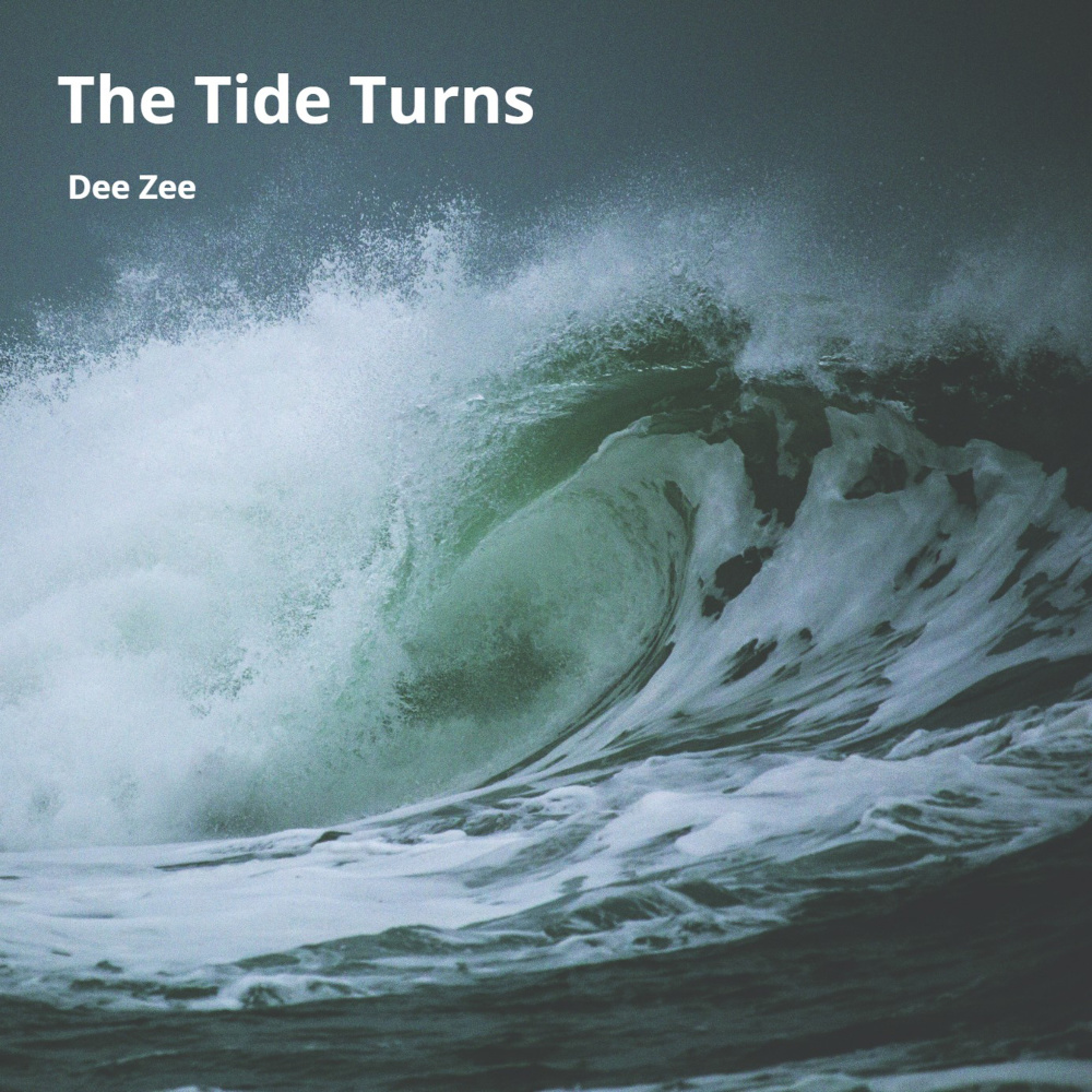 The Tide Turns อัลบั้มของ Dee Zee Sanook Music