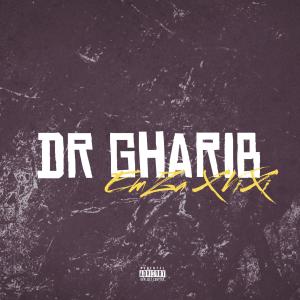 ดาวน์โหลดและฟังเพลง Dr GhaRiB (Explicit) พร้อมเนื้อเพลงจาก Emza