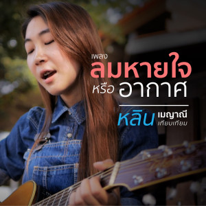 ดาวน์โหลดและฟังเพลง ลมหายใจหรืออากาศ พร้อมเนื้อเพลงจาก เมญาณี เทียบเทียม
