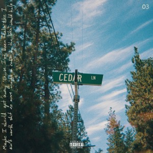 ดาวน์โหลดและฟังเพลง cedar lane (Explicit) พร้อมเนื้อเพลงจาก Austin Harms