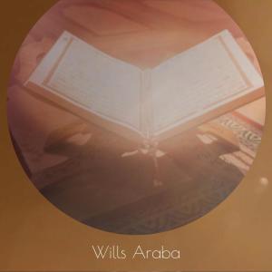 Listen to Wills Araba song with lyrics from Dorette Ayten