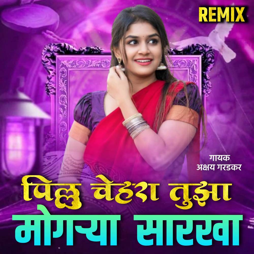 Pillu Tuza Chehara Mogarya Sarkha (Remix|8)