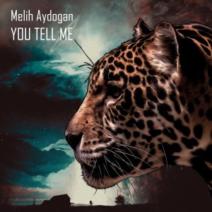 Dengarkan lagu You Tell Me (Original Mix) nyanyian Melih Aydogan dengan lirik