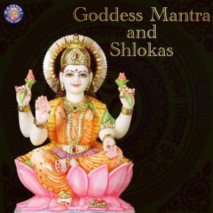 Dengarkan Mahalakshmi Mantra lagu dari Ketan Patwardhan dengan lirik