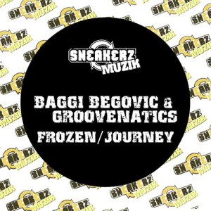 ดาวน์โหลดและฟังเพลง Frozen พร้อมเนื้อเพลงจาก Baggi Begovic