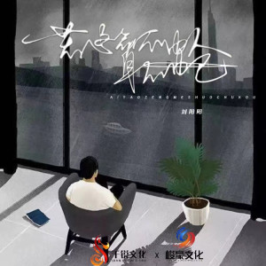 Album 若这命不由人身不由己（节奏版） from 刘阳阳