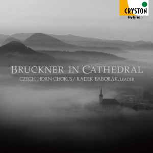 Listen to Antiphon, WAB.13 [Arr. M.bok] song with lyrics from チェコ・ホルン・コーラス