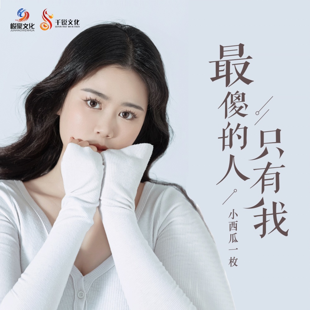 最傻的人只有我 (伴奏)