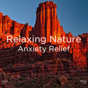 Album !!!" Relaxing Nature Anxiety Relief "!!! from Nature Sounds Nature Music