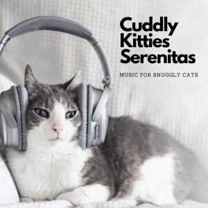 FloatSpace的專輯Cuddly Kitties Serenitas: Music For Snuggly Cats
