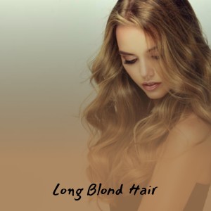 Dengarkan lagu Long Blond Hair nyanyian Johnny Powers dengan lirik