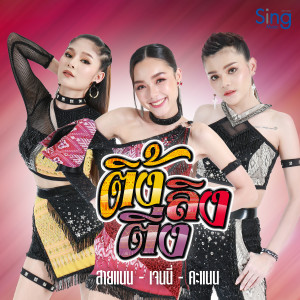 อัลบัม ติ้งลิงติ่ง (Instrumental) ศิลปิน สายแนน สิงห์มิวสิค