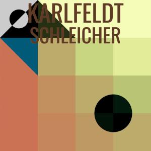 Album Karlfeldt Schleicher oleh Various