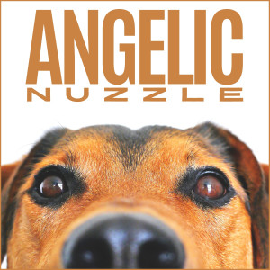 Angelic Nuzzle