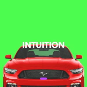 Intuition