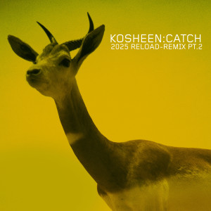 Kosheen的專輯Catch (2025 Reload-Remix, Pt.2)