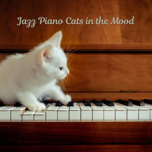 Jazz Piano Cats in the Mood