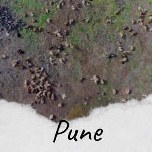Listen to Postgraduate song with lyrics from Cian Dmitro