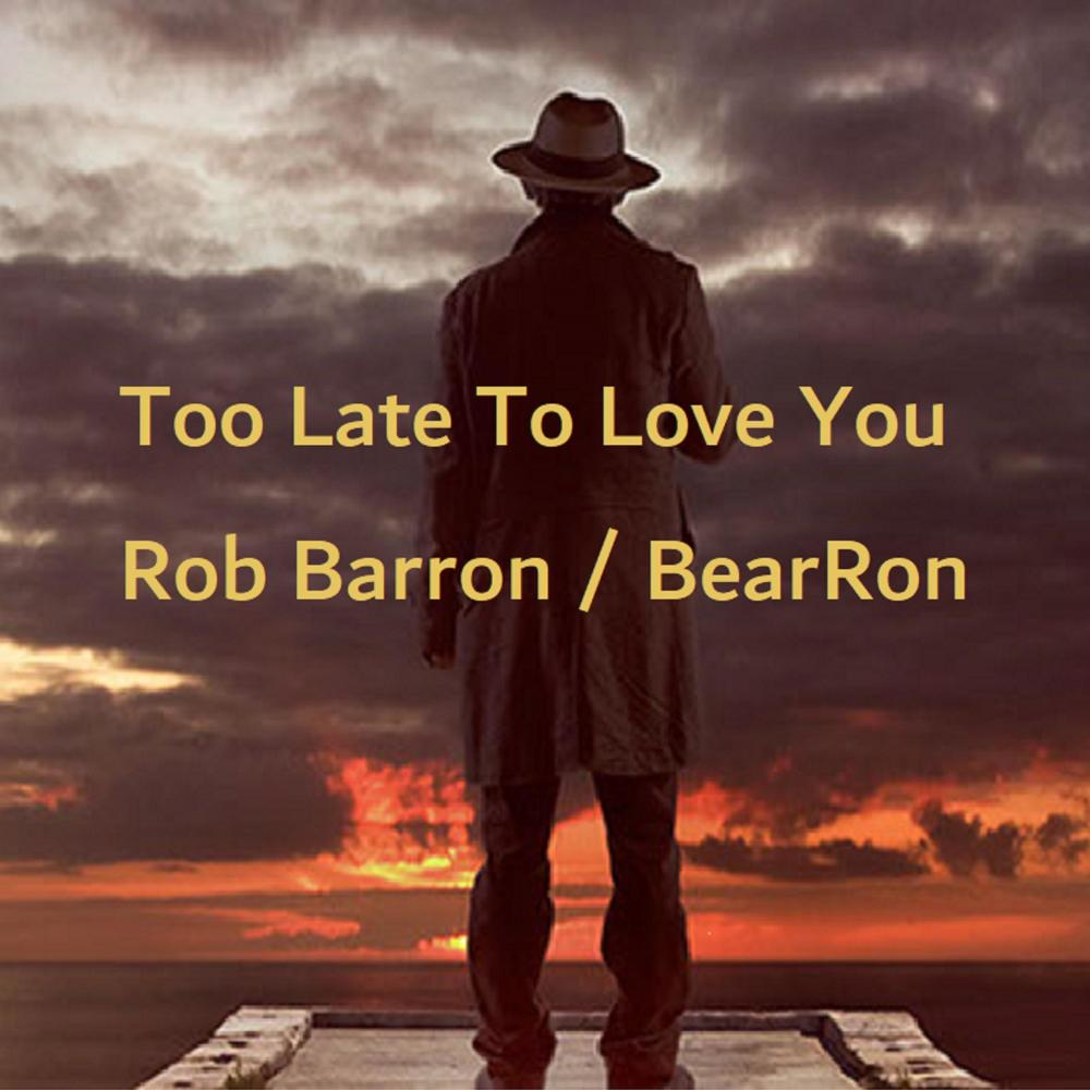 Too Late To Love You