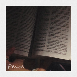 Listen to 사랑으로 예배합니다 song with lyrics from 프레이어