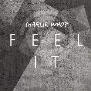 ดาวน์โหลดและฟังเพลง Feel It พร้อมเนื้อเพลงจาก Charlie Who?