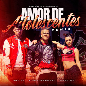 Album Amor De Adolescentes / No Podré Olvidarme De Ti (Remix) from Grupo Red