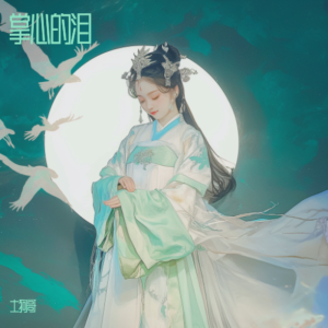 Album 掌心的泪 from 土狗哥