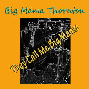 收聽Big Mama Thornton的Let Your Tears Fall Baby歌詞歌曲